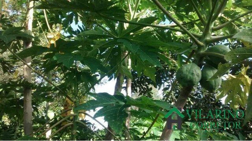 Imagem 7 de 15 de Sitio Com Muita Água Em Itatiaiuçu - Casa 3 Quartos - 2487v