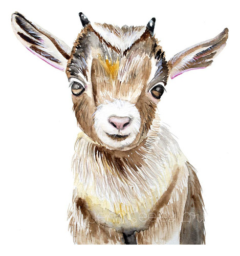 Arte De Impresión De Acuarela Goat