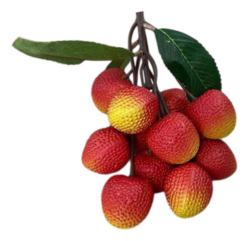 Modelo De Frutas Artificiales, Realistas, Estilo C