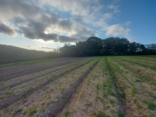 Imagem 9 de 24 de 10o', Terreno Cotia 500m² 35mil !