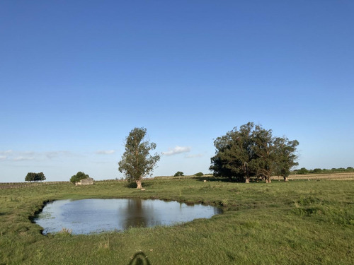 Imagen 9 de 14 de Campo De Casi 12 Hás En Ruta 40