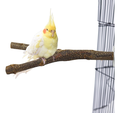 Parrots Perches Stand Bird Play Gimnasio Juguete Periquitos