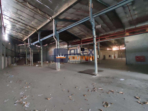 Imagem 6 de 28 de Galpão Com 5.000 M2 A 200 Mt Da Av. Brasil - 161433