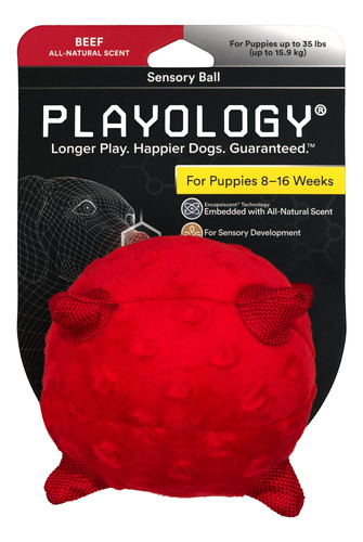 Playology Juguete Sensorial De Carne De Res Para Cachorros,