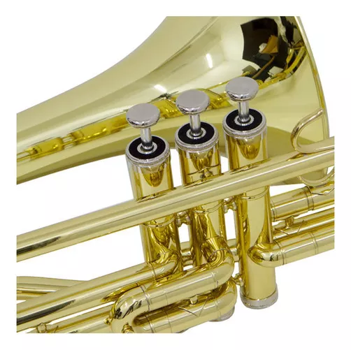 Segunda imagem para pesquisa de trombone