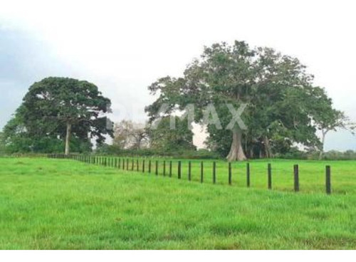 Imagen 9 de 15 de Finca En Venta Vía El Sur. Maturín (1)
