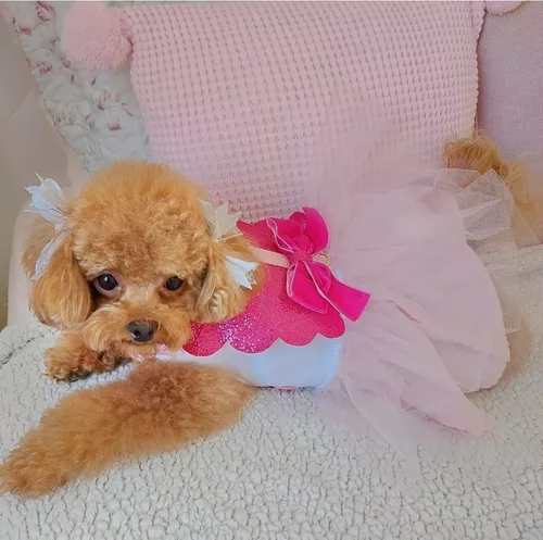 Roupa Roupinha Pet Para Cachorro Vestido Barbie Com Guia