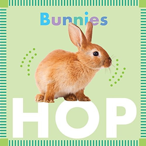 Bunnies Hop (amicus Ink Board Books)