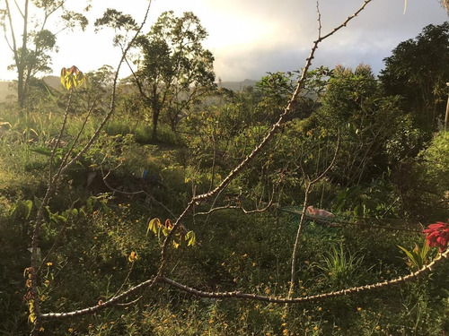 Imagen 9 de 14 de Terreno En Colinas De Carrizal