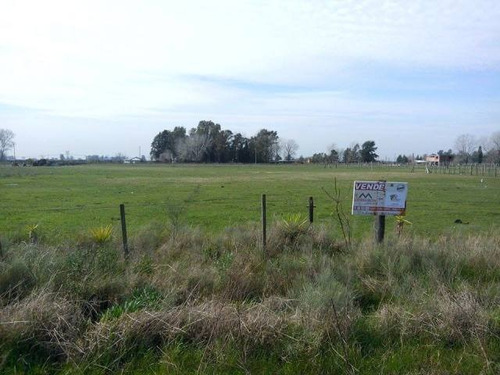 Imagen 3 de 6 de Terreno En Venta En Alejandro Korn
