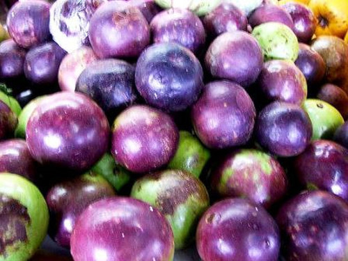 05 Sementes Orgânicas De Abiu Roxo P/ Plantio