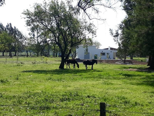 Hermosa Casa De Campo Con Pileta, Arboleda Y Caballos !!