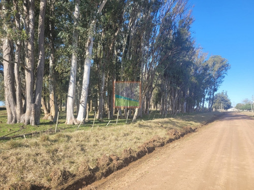 Imagen 2 de 11 de Campo Ganadero 120 Hás Velazquez Rocha