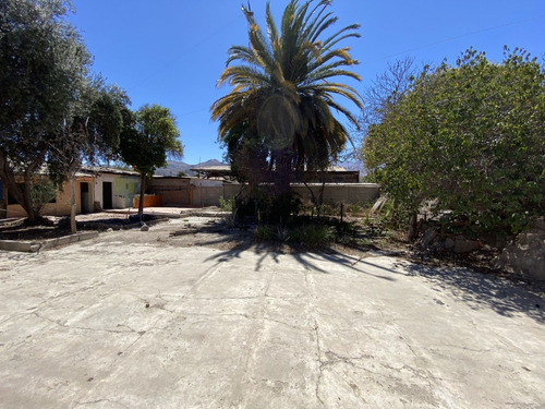 Imagen 7 de 15 de Sitio En Vicuña De 595m2 En El Valle Del Elqui!