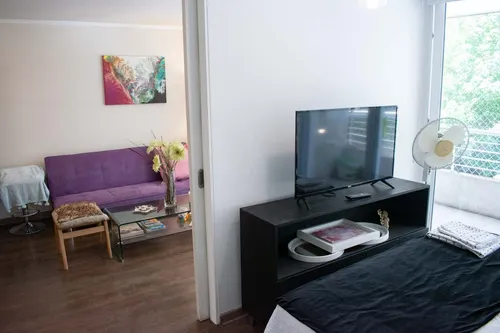 Arriendo Depto Amoblado 1 Habitación - Santiago (4238)