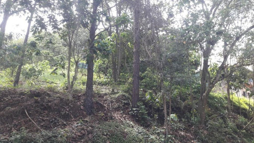 Imagem 19 de 21 de Terreno Em Parque Rizzo Ii, Cotia/sp De 1380m² À Venda Por R$ 160.000,00 - Te463143-s