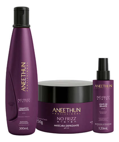No Frizz Aneethun Kit Shampoo + Mascara + Cond - Lançamento