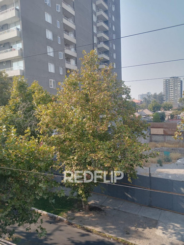 Imagen 4 de 5 de Comercial | Séptima Avenida | San Miguel