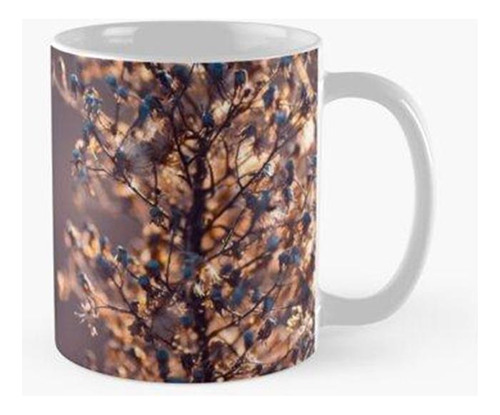 Taza Textura De Otoño Planta Seca Calidad Premium