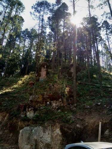 Imagen 14 de 15 de Venta De Terreno En Salazar La Marquesa Estado De Mexico