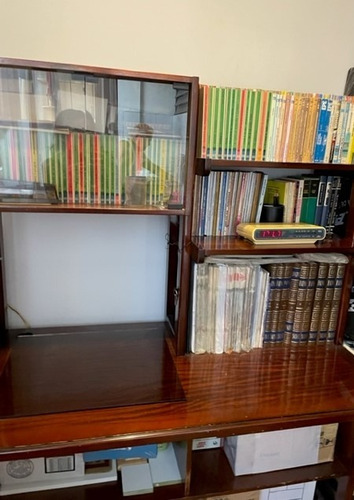 Escritorio Librero De Madera (Usado)