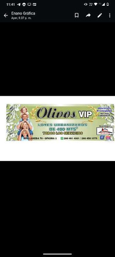 Lotes Olivos Vip San Rafael Mendoza