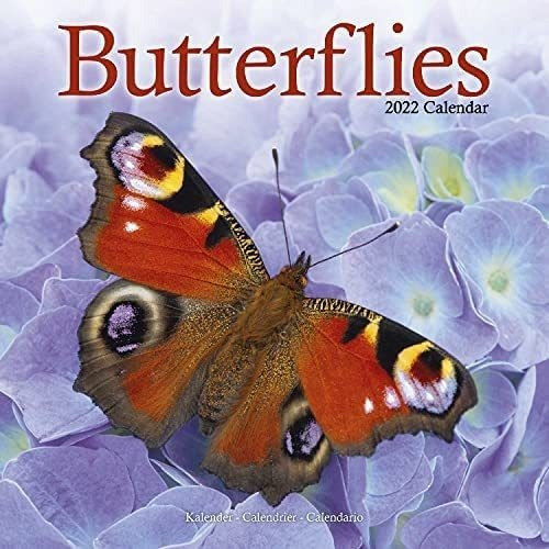 Libro: Butterfly Calendar - Calendars 2021 - 2022 Wall &-.