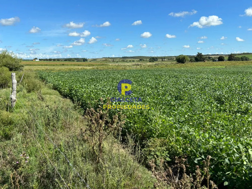 14 Hectáreas En Canelones