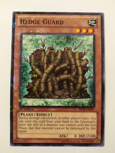 Hedge Guard - Mosaic Rare     Bp02
