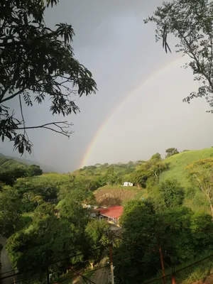 Hacienda-Finca en venta