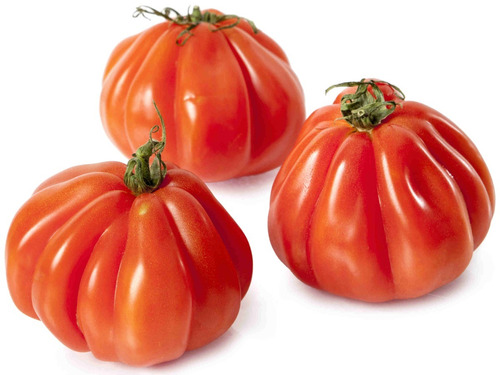 Semillas Tomate Platense 10 Gramos Huerta Hortalizas Granel