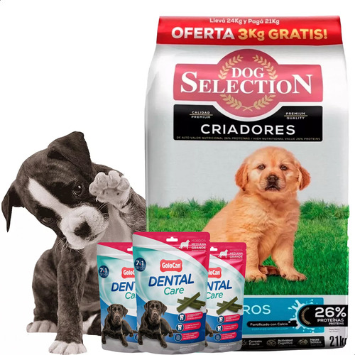 Dog Selection Cachorros 21 + 3kg + Huesitos Dental Care X3