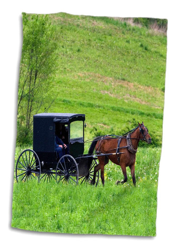 Granja Amish 3d Rose Con Cochecito Para Caballos Cerca De Be