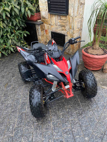 Imagem 3 de 8 de Quadriciclo Buggy&cia Raptor 125 Ano 2015