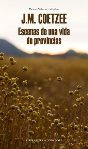 Escenas de una vida de provincias, de Coetzee, J. M.. Editorial Literatura Random House, tapa dura en español