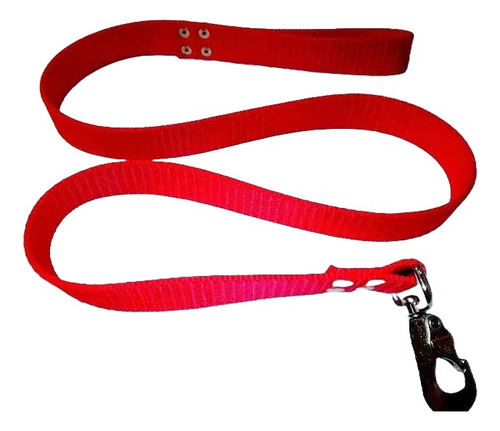 Correa Cinta Nato Resistente Pitbull-rottweiler 3cmx1.20mts