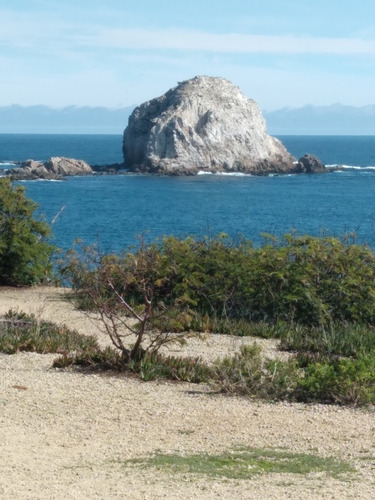 Imagen 17 de 19 de Condominio Pinares Del Canelillo, Algarrobo.