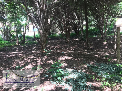 Imagem 4 de 5 de Terreno Em Centro - Paty Do Alferes - 3261