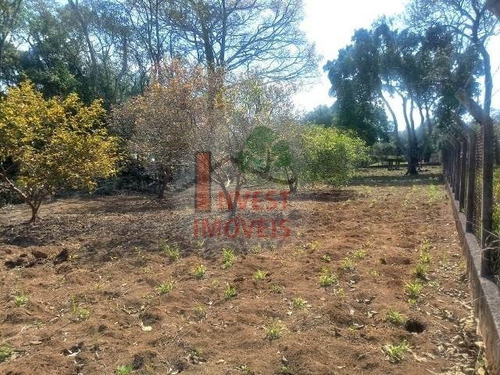 Imagem 15 de 15 de Chacara - Ref: 4836 - V-4836