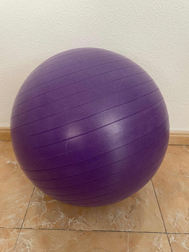 Pelota Esferodinamia Importada Fitball 65 Cm 