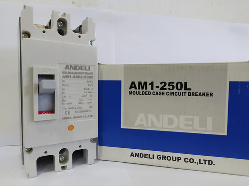 Breaker Industrial Caja Moldeada 2 Polos 125 Amp Andeli