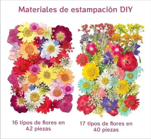 Flores Secas Naturales Prensadas - 82 Piezas para Manualidades, Decoración del Hogar, Bodas y Ramos de Flores Secas