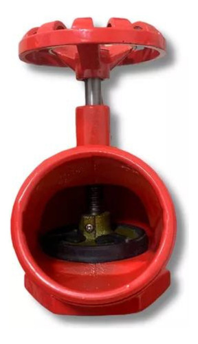 Válvula Globo Angular Pn16 2.1/2 X 45 Graus Segurimax
