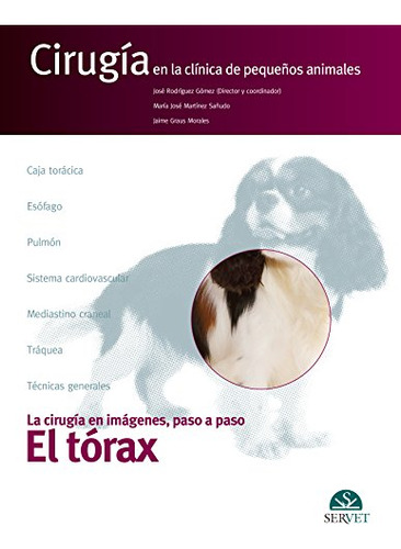 Libro Cirugía En La Clínica De Pequeños Animales De José Rod