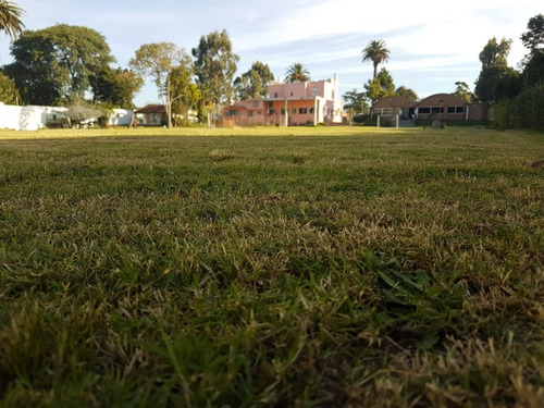 Venta Gran Terreno Mas Casa Mas Salones Mas Galpones