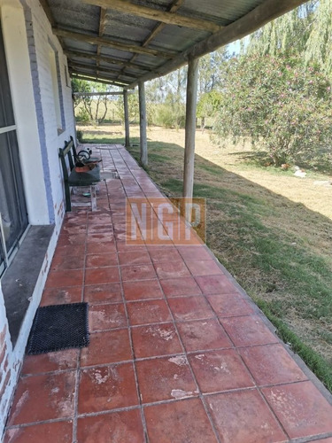 Imagen 5 de 15 de Muy Lindo Campo , Con Cercanía A La Ciudad , Hermosa Vista , Y Fácil Acceso