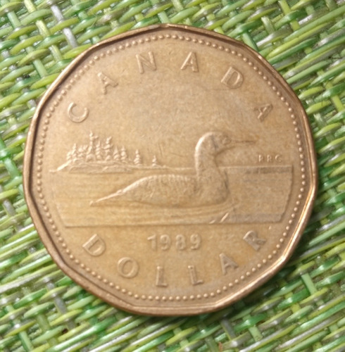 Moneda De 1 Dólar Canadiense 1989 Casi Sin Circular (Usado)