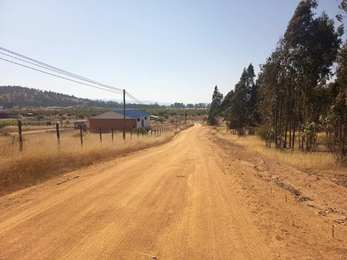 Oportunidad Parcela En Peralillo 5000 M2