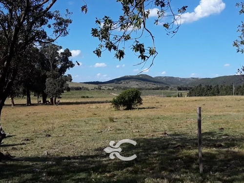 Campo En Lavalleja Ref. 8873 (ref: Cbr-970)