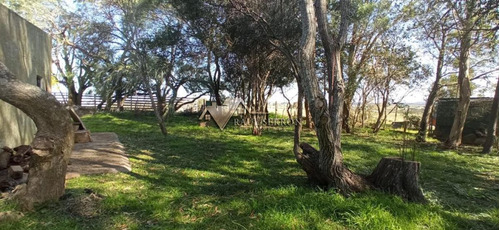 Imagen 11 de 30 de En Venta Chacra De 7,5 Has Con Casa, Ruta 39 - Maldonado Ruta 39